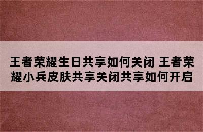 王者荣耀生日共享如何关闭 王者荣耀小兵皮肤共享关闭共享如何开启